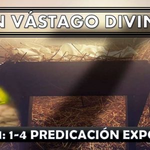 Isaias 11:1-4 “Un vástago divino” predicación expositiva