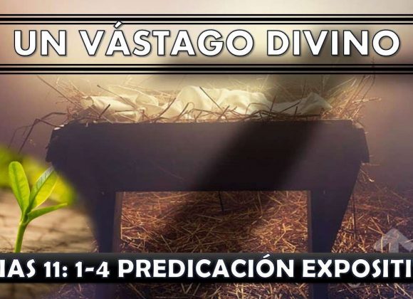 Isaias 11:1-4 “Un vástago divino” predicación expositiva