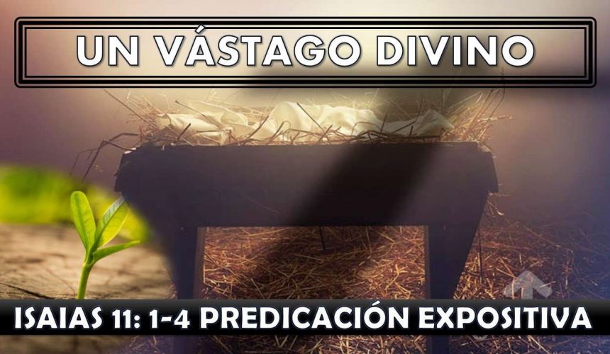 Isaias 11:1-4 “Un vástago divino” predicación expositiva