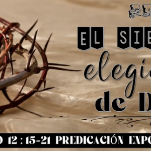 Mateo 12:15-21 “El siervo elegido de Dios”