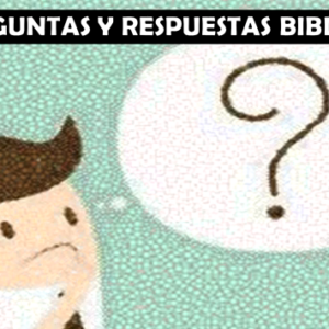 Estudio “Preguntas y Respuestas”