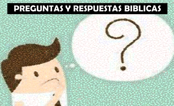 Estudio “Preguntas y Respuestas”