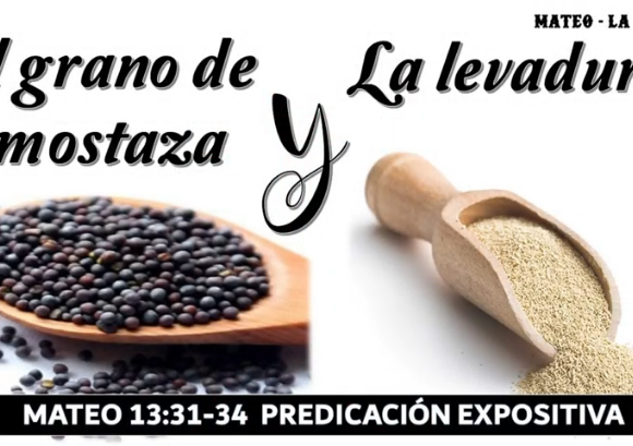 Mateo 13:31-34 “El grano de mostaza y la levadura”