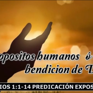 Efesios 1:1-14 “¿Propósitos humanos o bendición de Dios? “