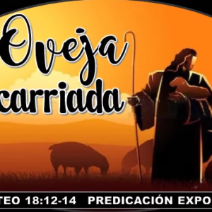 Mateo 18:12-14 “La oveja descarriada”