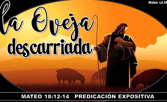 Mateo 18:12-14 “La oveja descarriada”