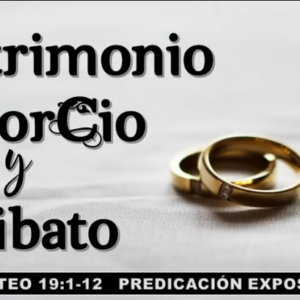 Mateo 19:1-12 “Matrimonio, divorcio y celibato”