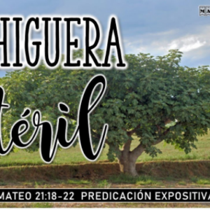 Mateo 21:18-22 “La higuera estéril”