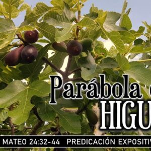 Mateo 24:32-44 “Parábola de la higuera”