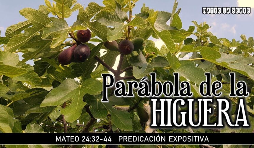 Mateo 24:32-44 “Parábola de la higuera”