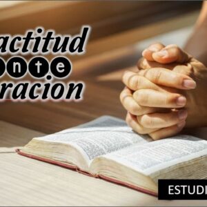 Estudio la actitud en la oración.