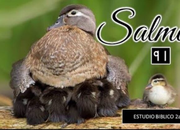 Estudio biblico “Salmo 91” 2da parte.