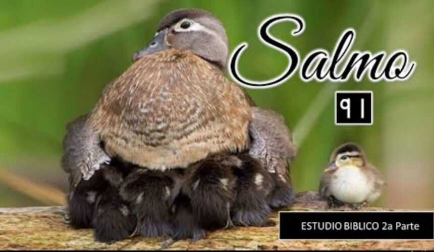 Estudio biblico “Salmo 91” 2da parte.