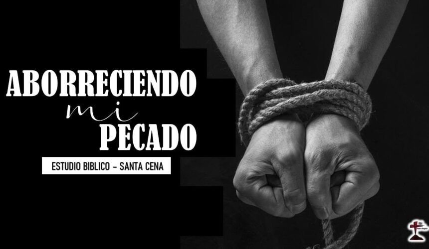 Estudio Biblico “Aborreciendo mi pecado”